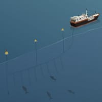 Long-line fishing